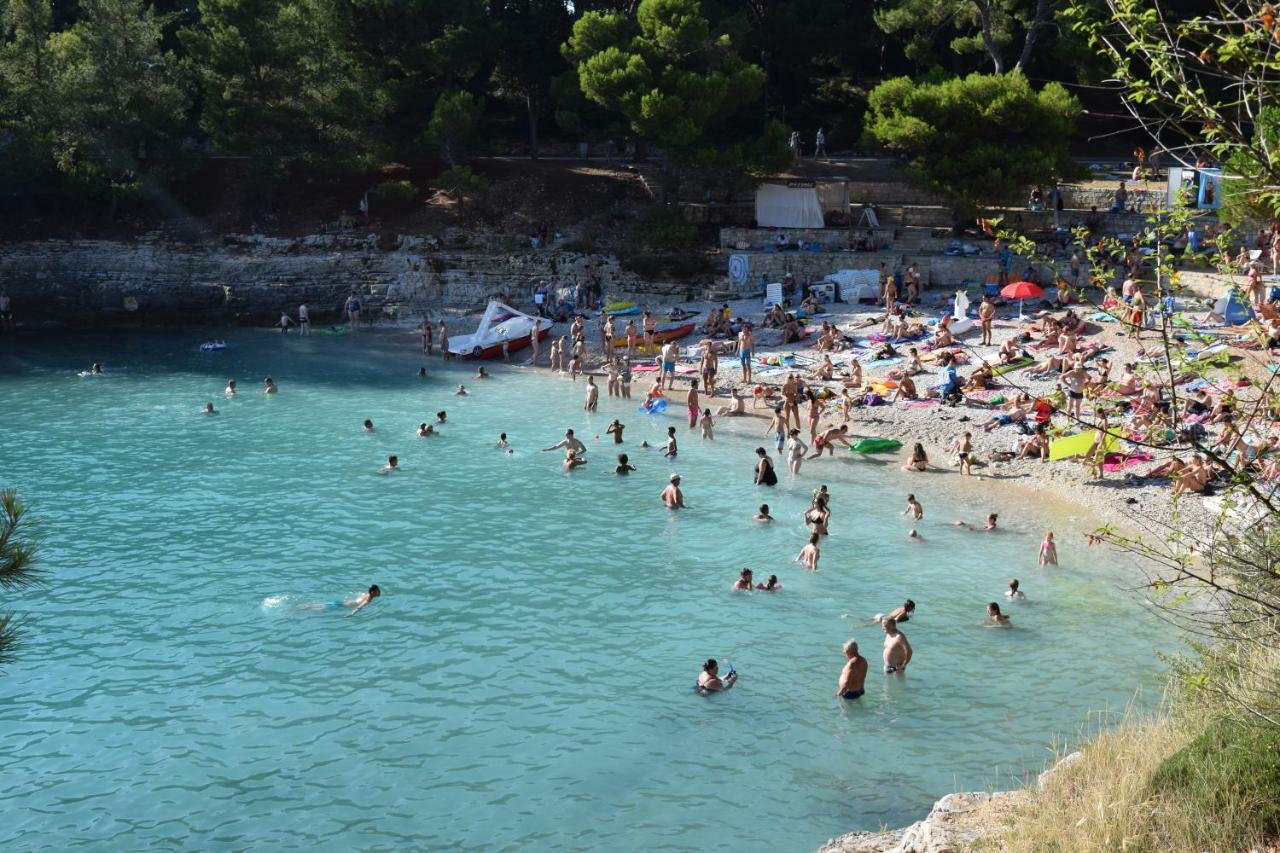 Ljudevita Posavskog 13 *